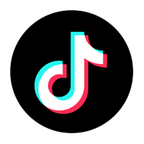 TIKTOK ACCOUNTS | VERIFIED BY EMAIL